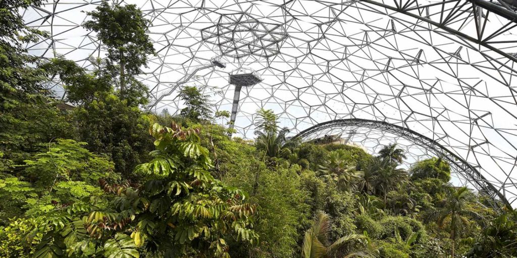 eden-project-rainforest-biome-huftoncrow