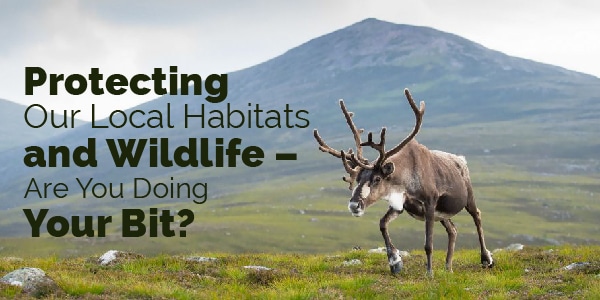 protecting our local habitats