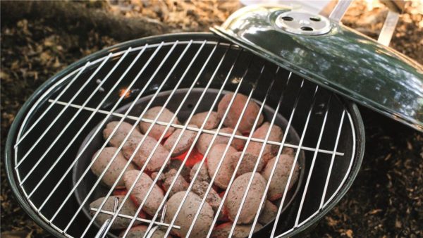 Easy Camp Adventure Grill Green showing charcoals