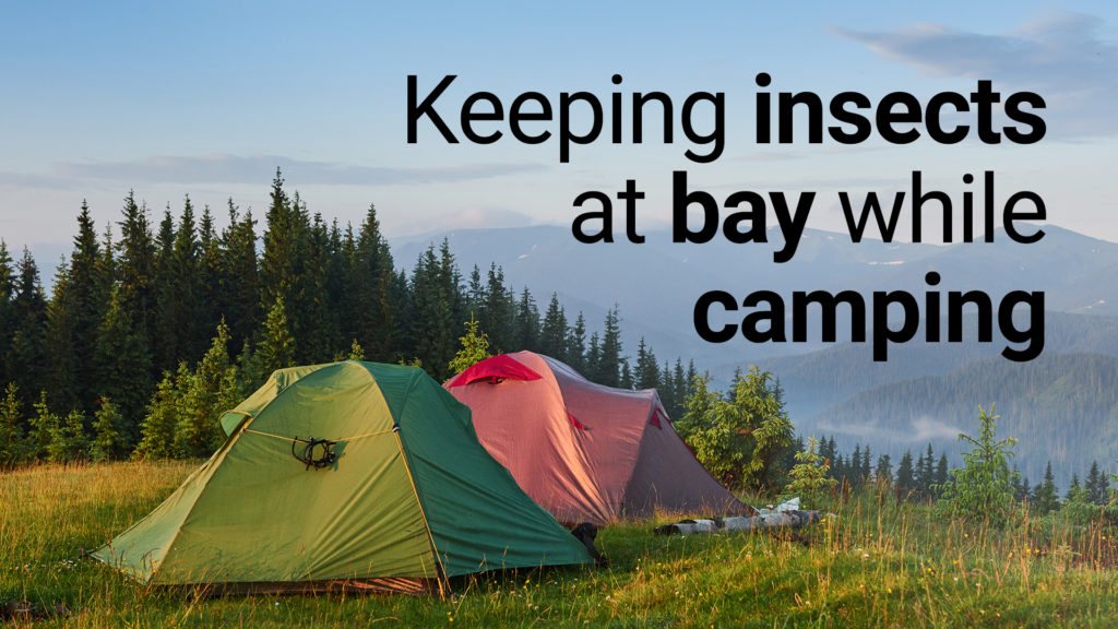 keeping insects at bay while camping