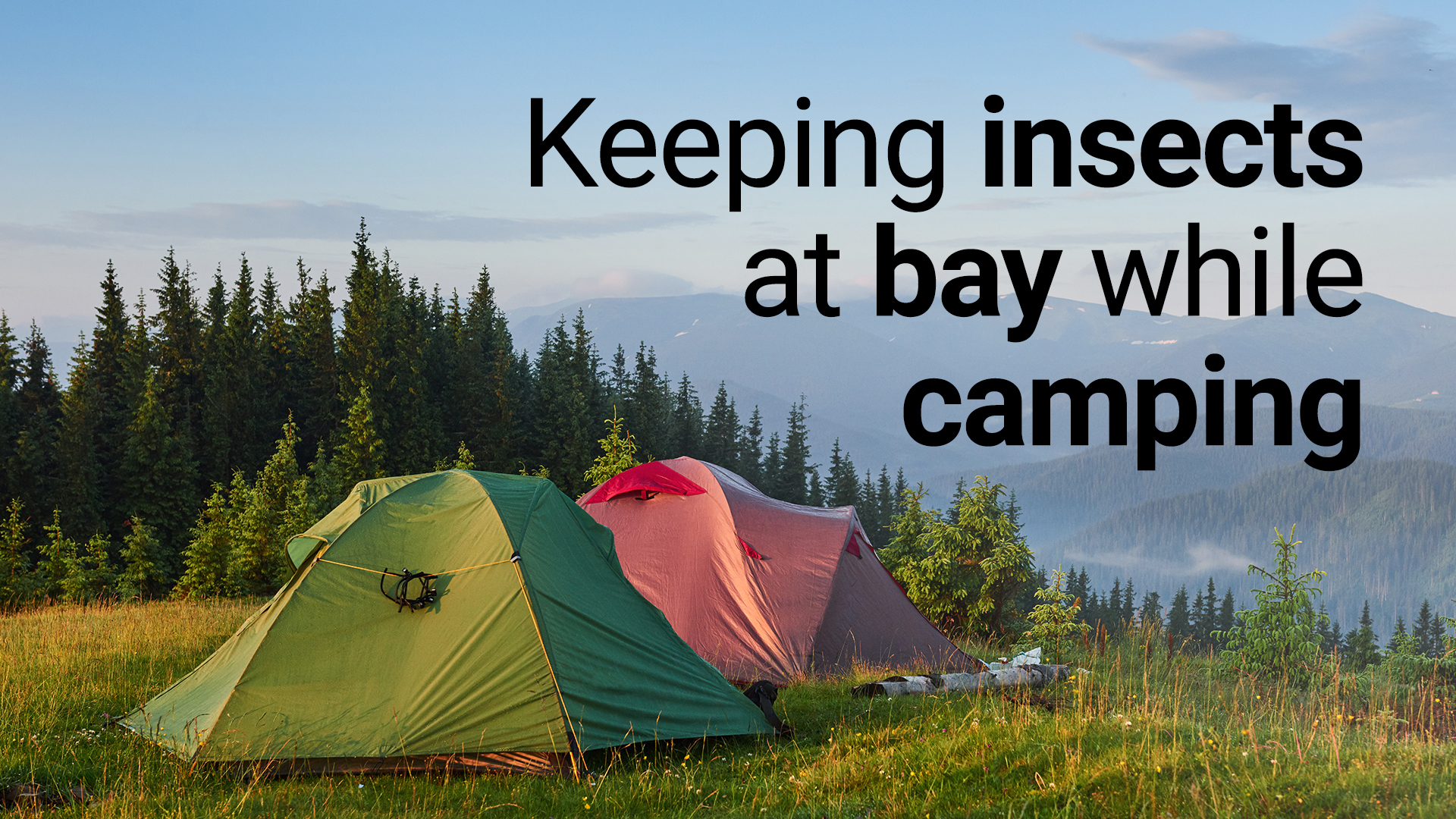 keeping insects at bay while camping