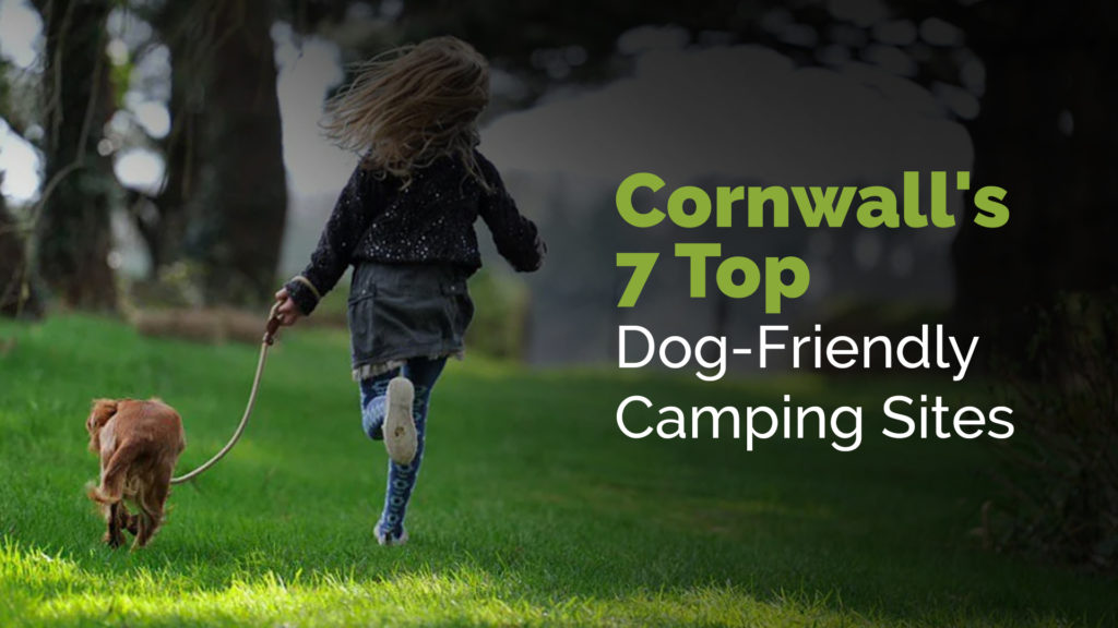Cornwall's 7 Top Dog-Friendly Camping Sites