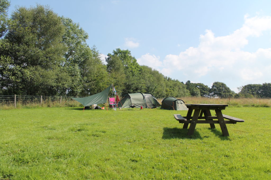 Denmark Farm, Ceredigion​ camp field