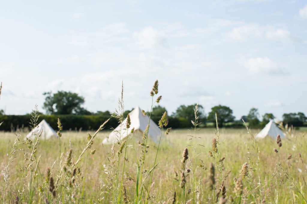Ling’s Meadow, Suffolk​ camping field