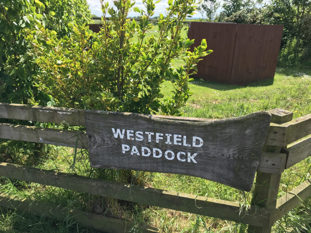 Westfield Paddock Caravan Site 3