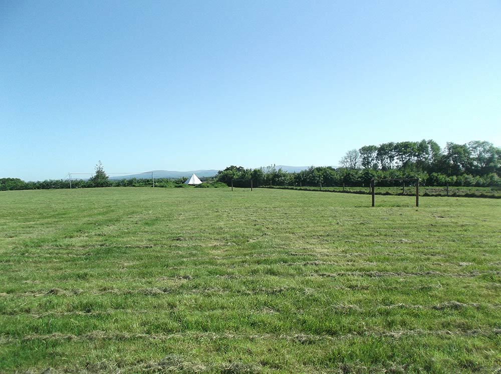 Ten Acres Vineyard