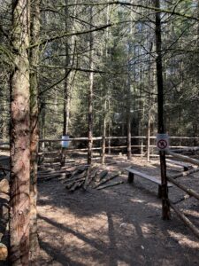 Lincolnshire Lanes campsite den making area for kids