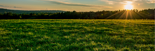 open fields with sun setting