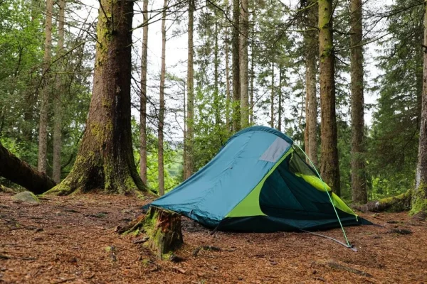 Vango Blade 200 Pamir Green - Image 13