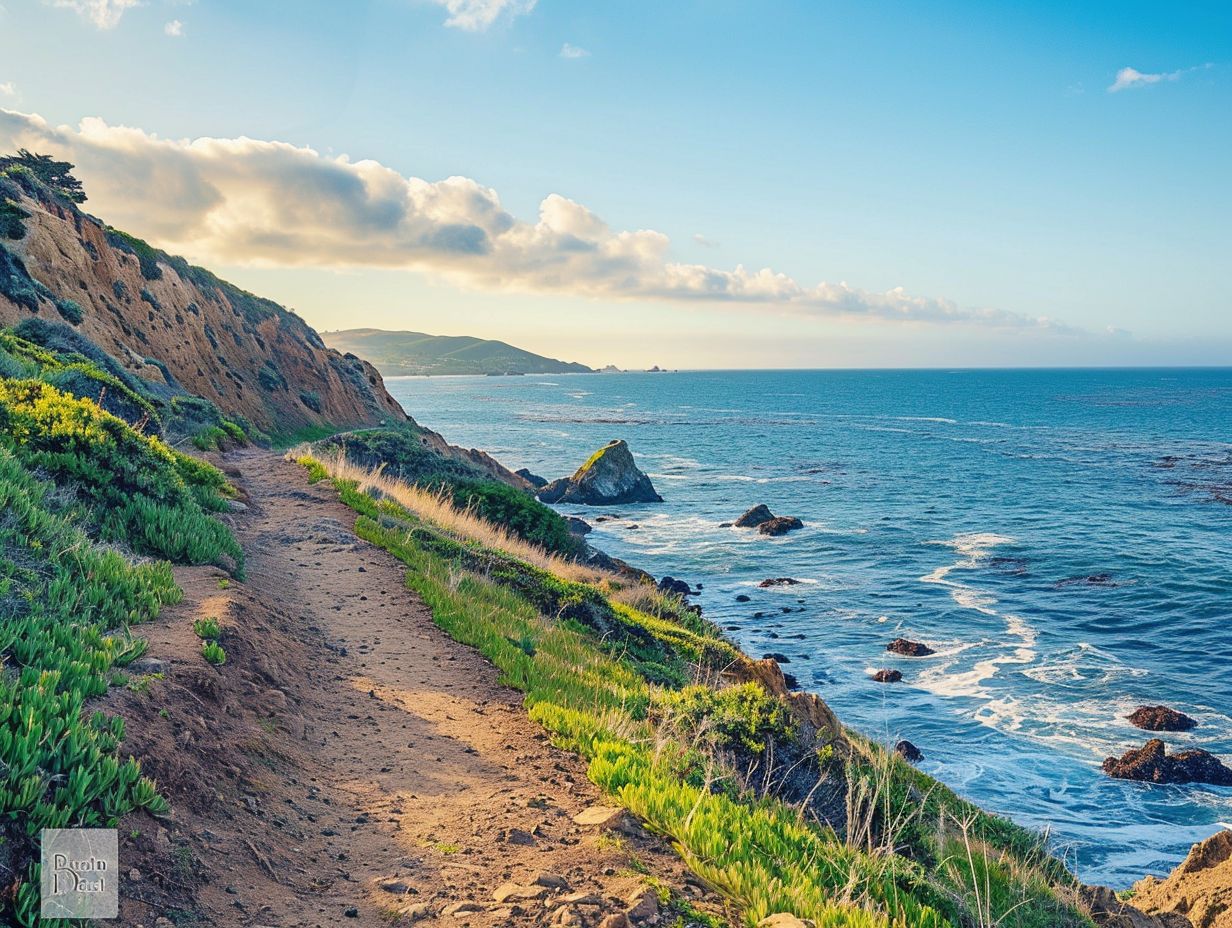 Best Hiking Trails in the Isle of Wight